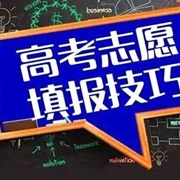 志愿填报图2