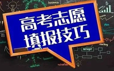 志愿填报项目招商图2