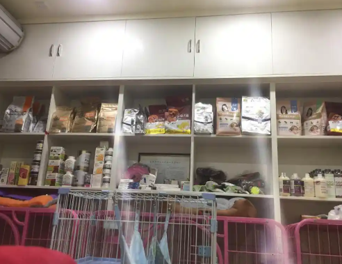 宠物店招商图3